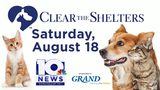 What you need to know about Clear the Shelters