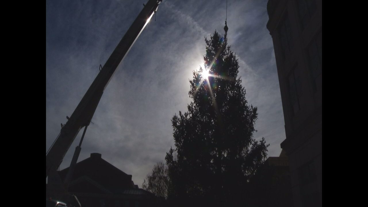 roanoke s official christmas tree cut delivered downtown christmas lights near me 2018 roanoke va