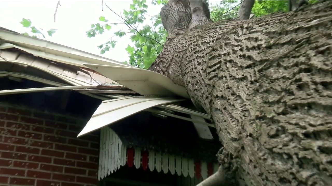 No description available