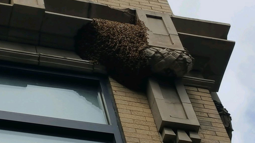 No description available