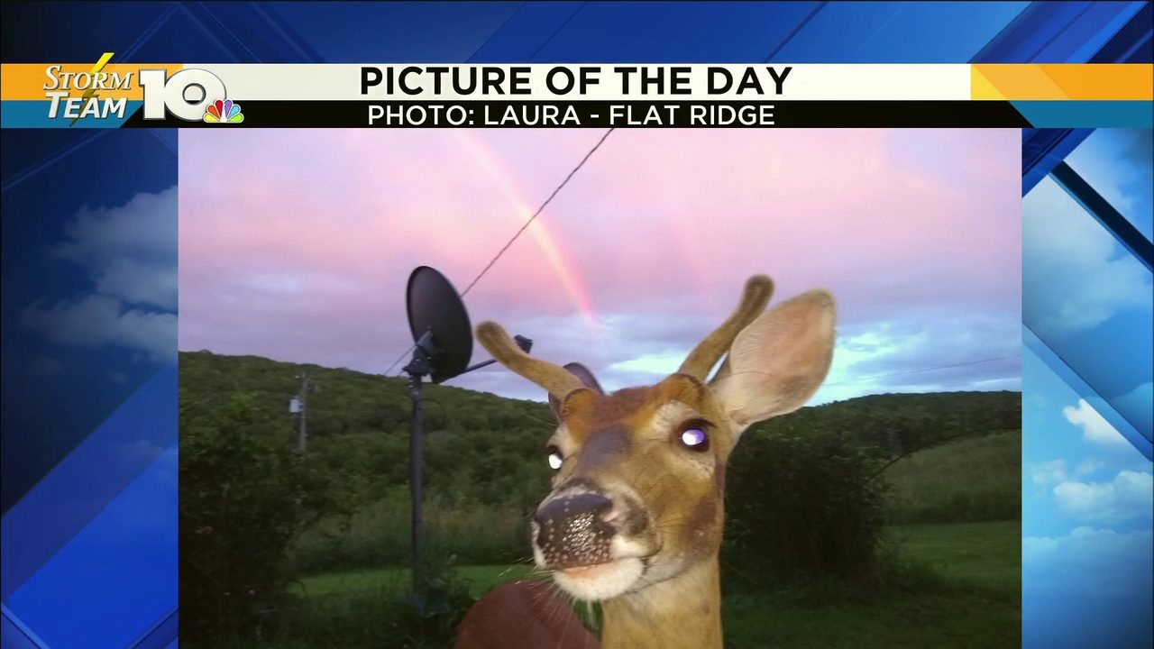 No description available