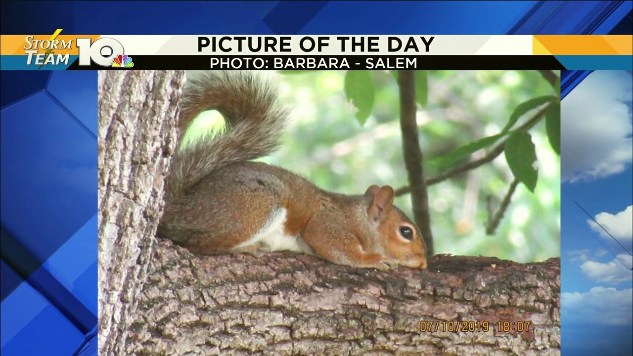 No description available