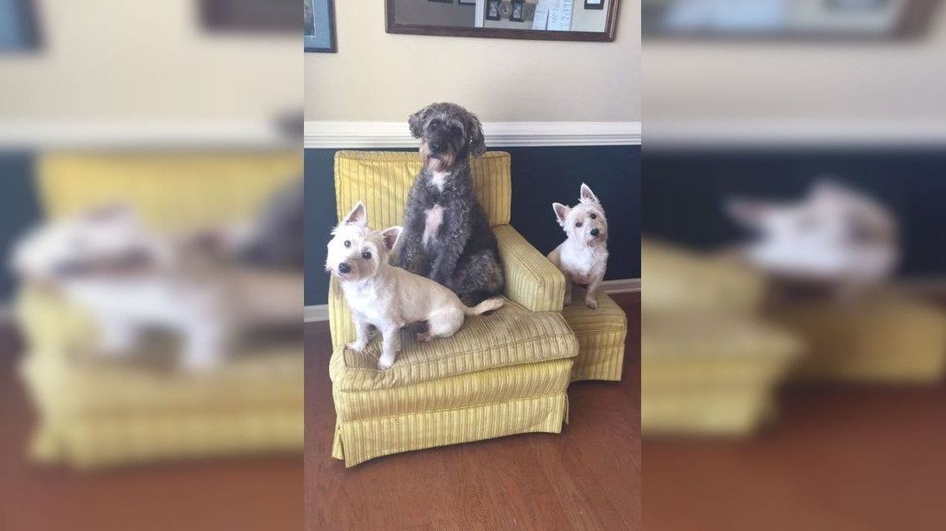 No description available