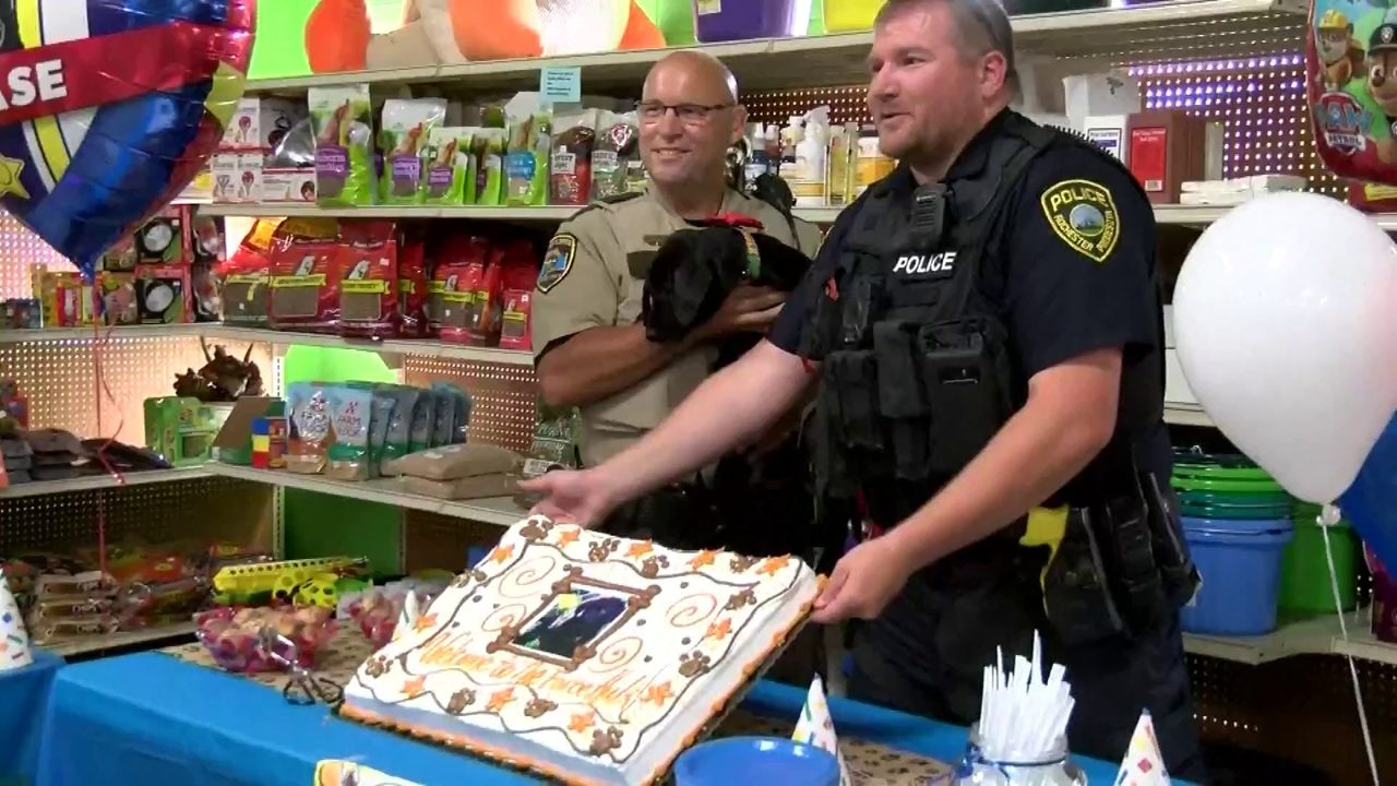 No description available