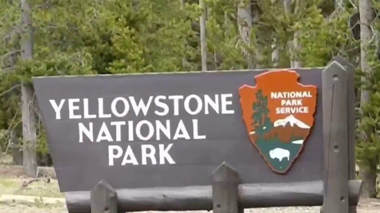 No description available