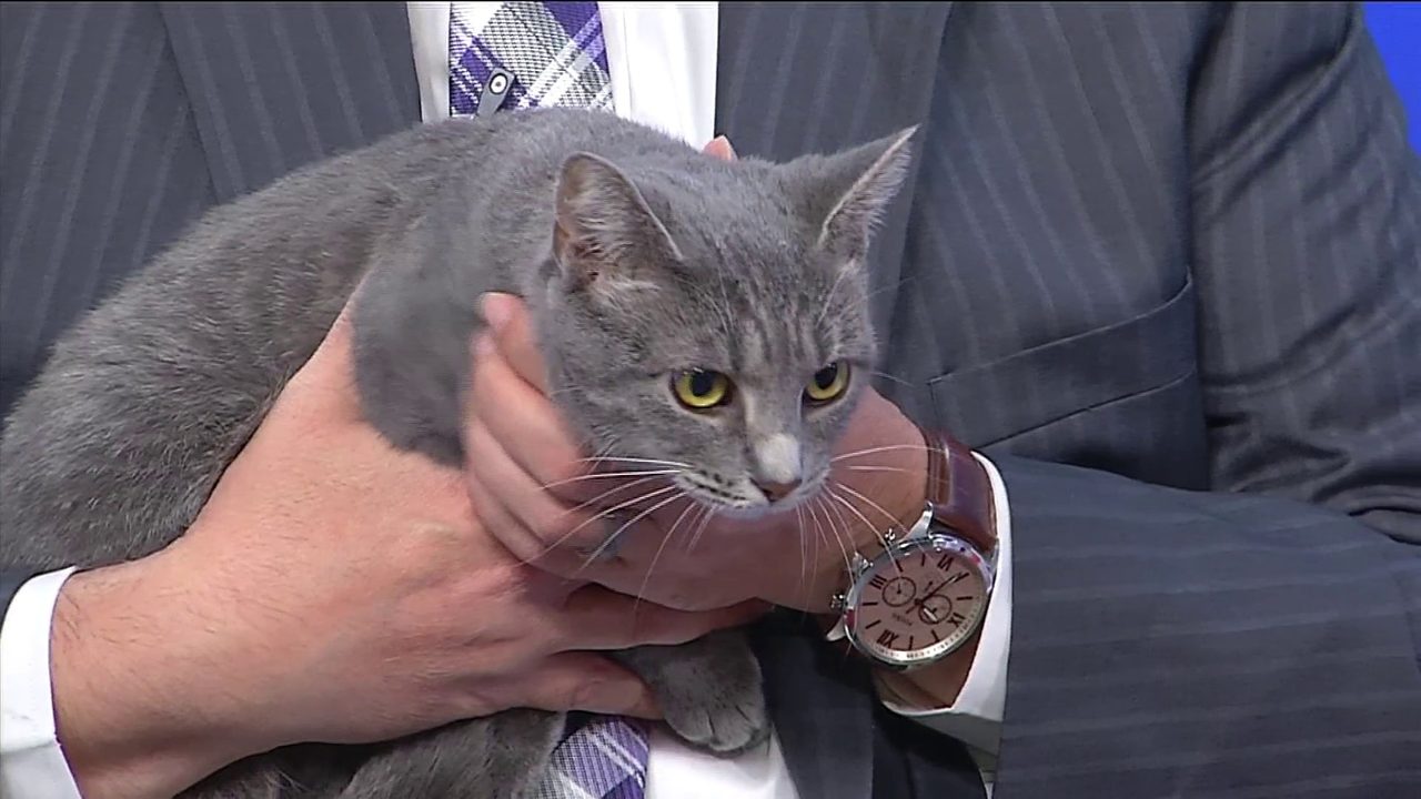 No description available