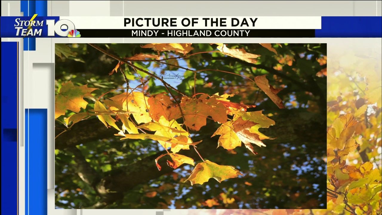 No description available