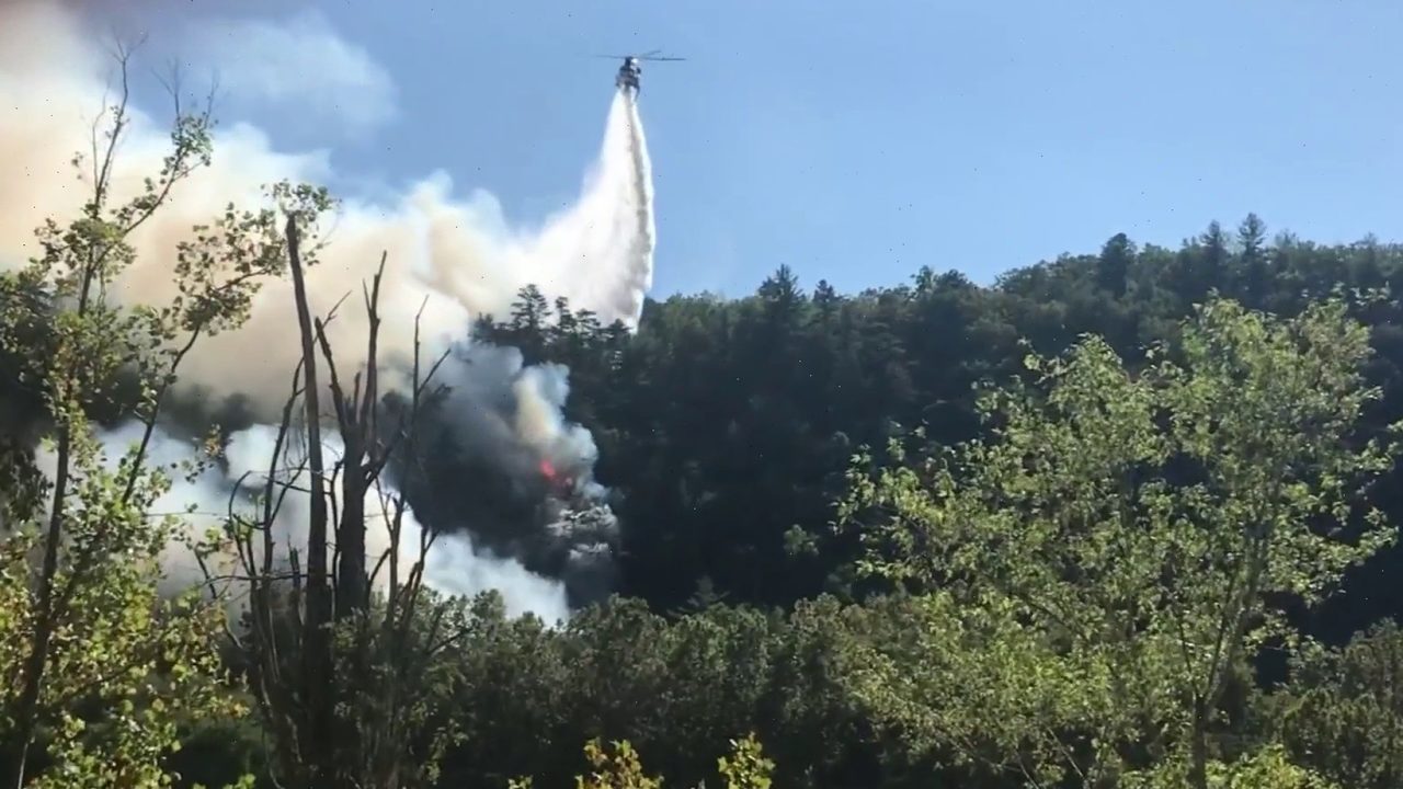 No description available