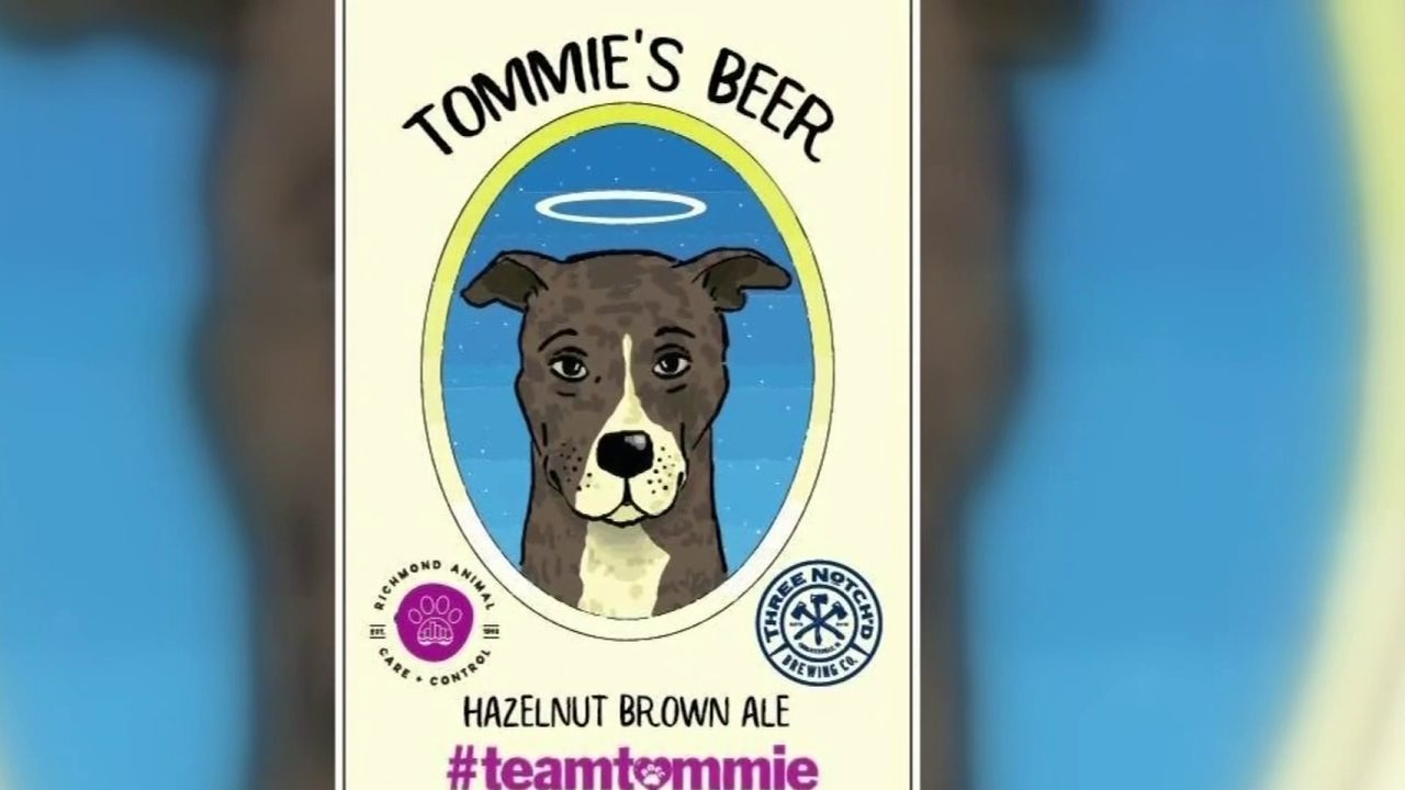 No description available